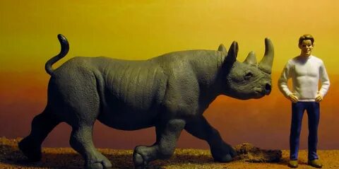 Black Rhino Scientific Name Pictures on Animal Picture Socie