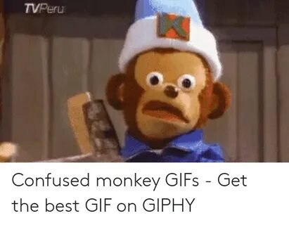 TVPeru Confused Monkey GIFs - Get the Best GIF on GIPHY Conf