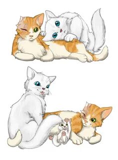 Cloudtail and Brightheart by aThousandPaws on deviantART War