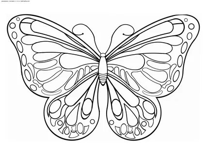 Рисунки Для Батика Бабочки