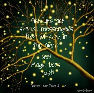 Fireflies and magic quote via www.Facebook.com/PrincessSassy