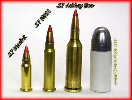 17 Hornady Hornet rifle advice. - RugerForum.com