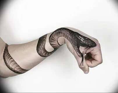 snake tattoo photo 28.01.2019 № 239 - snake tattoo idea - ta