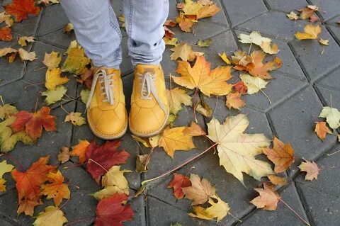 Shoes Yellow Autumn - Free photo on Pixabay