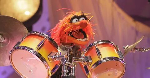 Whiplash' would be awesome with the Muppets' Animal