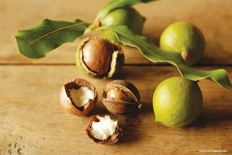 Nutty Chef Macadamia Nut Kukui Nut Malabar Chestnut