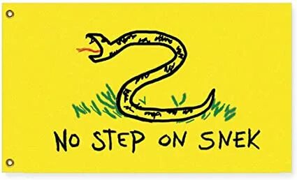 No Step on Snek flag 3x5ft-Vivid Colors and Anti-Fading Poly