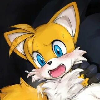 10 Facts about Tails the Fox Facts of World
