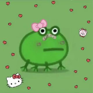 Rana Hello Kitty in 2020 Frog pictures, Frog, Hello kitty