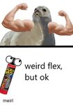 Weird Flex but Ok SEAL Flexing Meme on astrologymemes.com