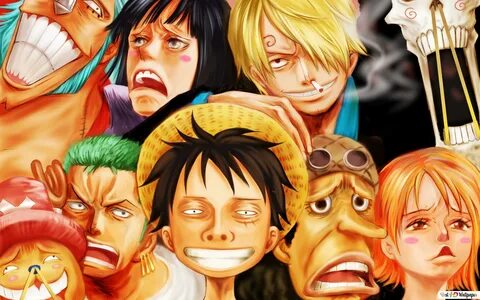 39+ One Piece 10 Crew Members Wallpaper