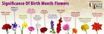 Each month encompasses a flower that symbolizes the month of