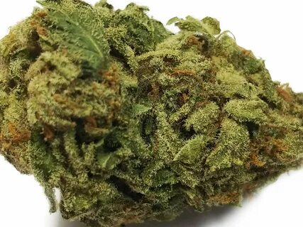 Buy Durban Poison #3 (Tier 3) - Sativa Online - The Wholesom