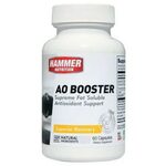 ProLineSportsNutrition.com - Hammer Nutrition AO Booster