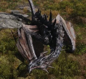 Bellyaches New Dragon Species at Skyrim Nexus - Mods and Com