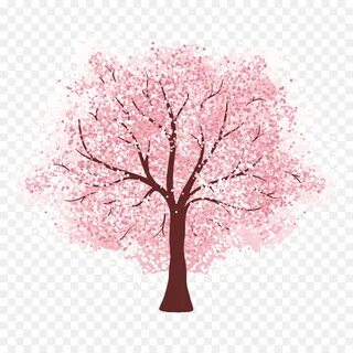 Cherry Blossom Tree png download - 1708*1708 - Free Transpar
