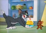 Tom & Jerry Pictures: "Part Time Pal"