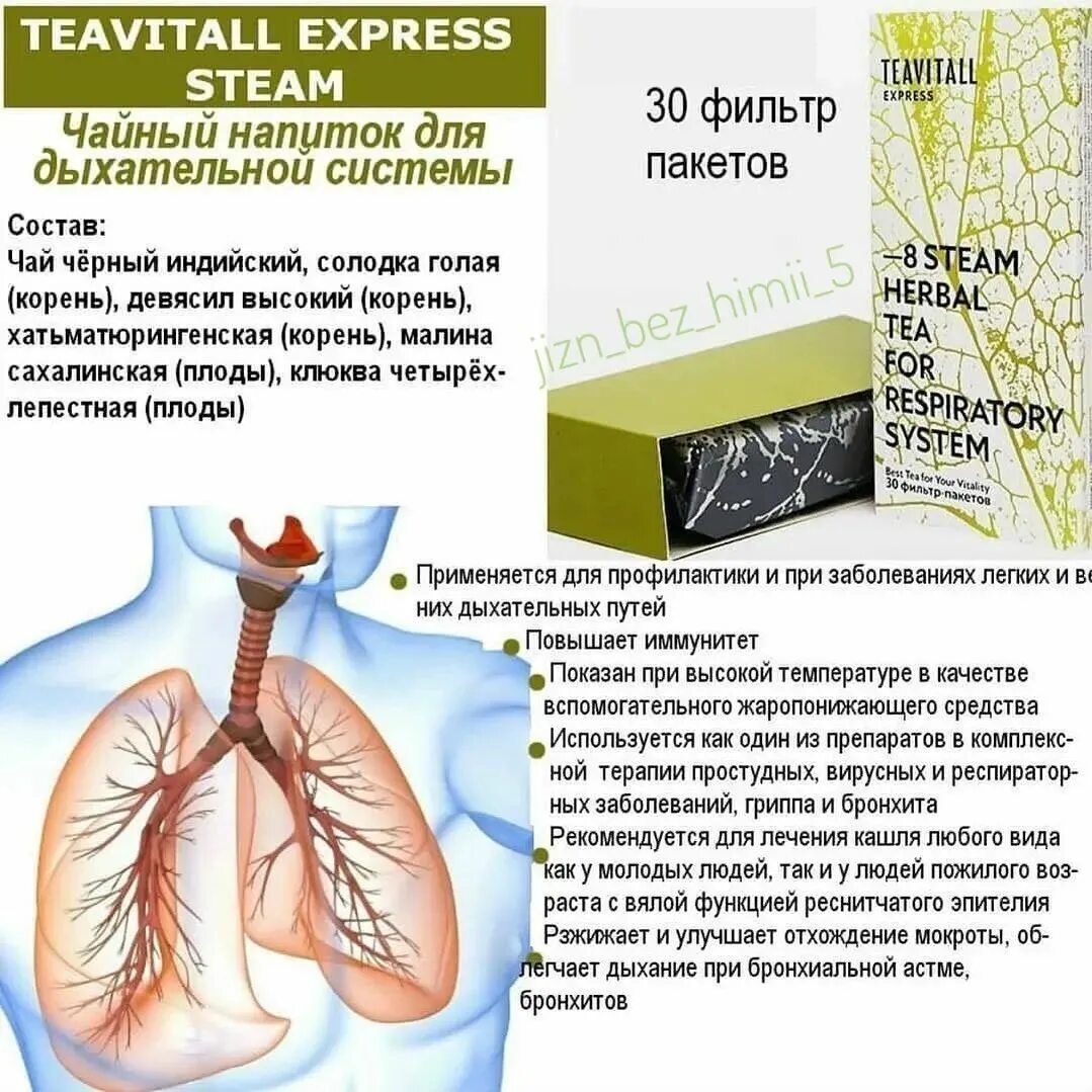 гринвей teavitall express steam фото 5