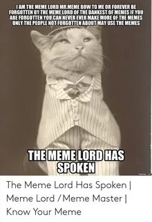 IAM THE MEME LORD MRMEME BOW TO ME OR FOREVER BE FORGOTTEN B