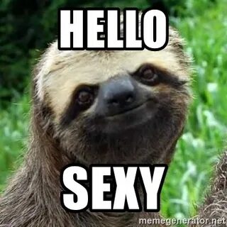 hello sexy - Sarcastic Sloth Meme Generator