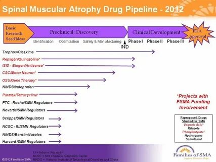 Update on the Spinal Muscular Atrophy Drug Development Pipel