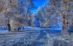 Красивые картинки про зиму (80 фото)