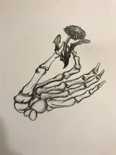 Anatomical skeleton hand Skeleton hands drawing, How to draw