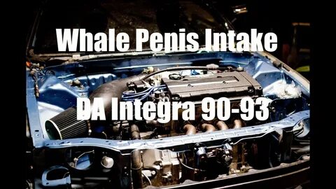 DA Integra Power Chamber Intake Whale Penis - YouTube