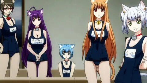 Cat Planet Cuties Season 2 Episode 1 English Sub - Cat Lovst