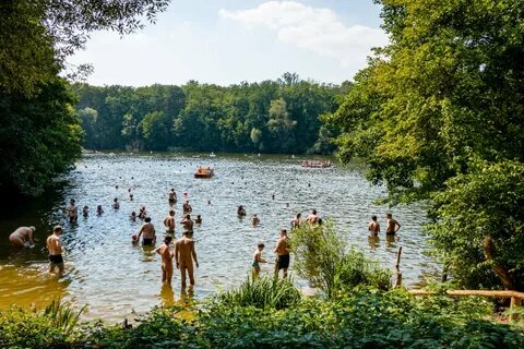 Der Teufelssee in Grunewald: Badespaß in tierischer Gesellsc