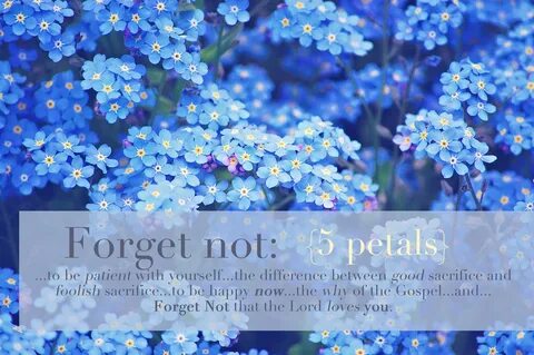 Forget Me Not Quotes And Sayings For Funerals - Forget Me No