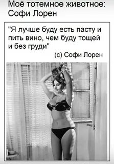 A fan of Sophia Loren (фанат Софи Лорен) on Twitter: "@Asobo