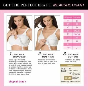 Plus Size Bra Fit Guide: Measure Chart for Women Roamans Bra