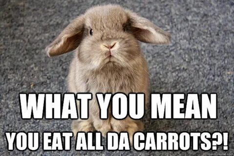 Menarik + Funny Bunny Memes, Paling Heboh!