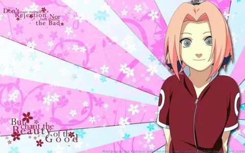 Sakura Haruno Wallpapers - WallpapersCart