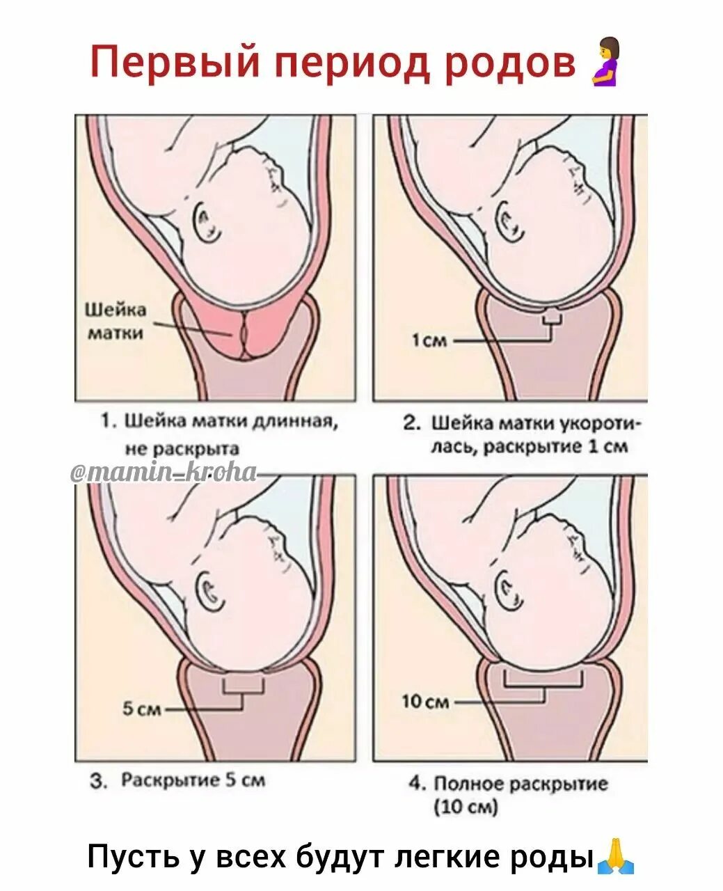 короткая шейка матки и оргазм беременность фото 37