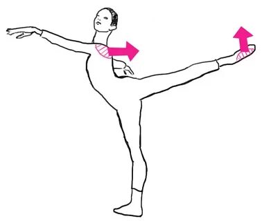 miss pointy-toes Ballet technique, Ballet moves, Ballet exer