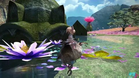 Final Fantasy XIV Dodo (mount) - YouTube