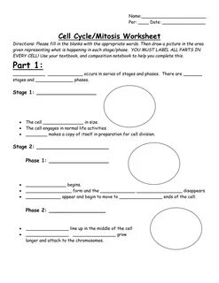 Cell Cycle Student Worksheet Answer Key - Cell Reproduction 