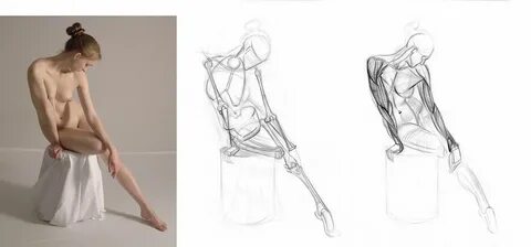 Figure drawing, Figure drawing female, Human figure drawing