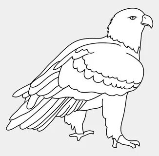 Eagle Clipart Black And White Png / Transparent Eagle Head C