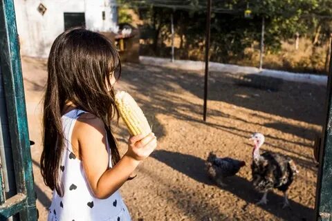 Free Photo Side view of girl feeding corn to chickens in the