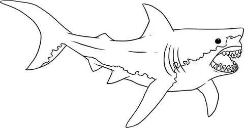 Great White Shark Coloring Lesson Kids Coloring Page - Color