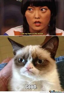 Pitch Perfect Mems Pitch perfect memes, Funny grumpy cat mem