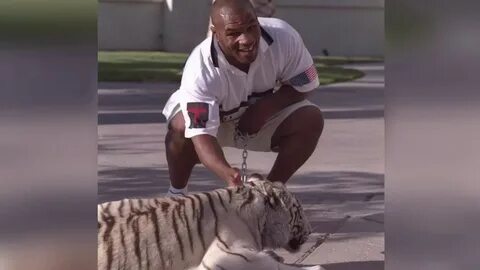 Mike Tyson has his tiger for 16 years - YouTube