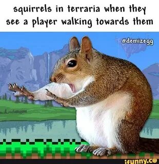 Squirrels in terraria when they see a player walking towards