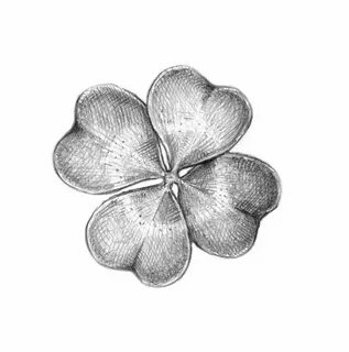 How to Draw a Leaf Step by Step Four leaf clover drawing, Dr