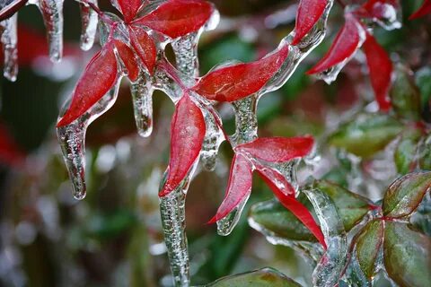 Freezing Rain Definition