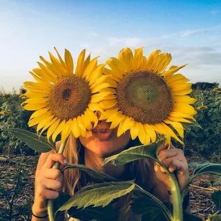 Solo sé feliz 🌻 🖤 Sunflower photography, Sunflower field pic