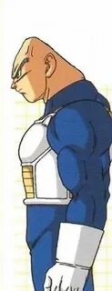 Vegeta without hair 😅 😅 Anime Amino